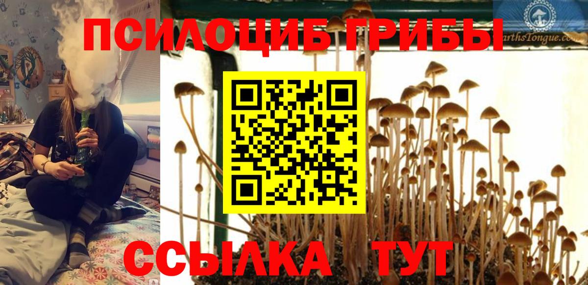 Архангельск  Псилоцибиновые грибы MAGIC MUSHROOMS  Вход с VPN 