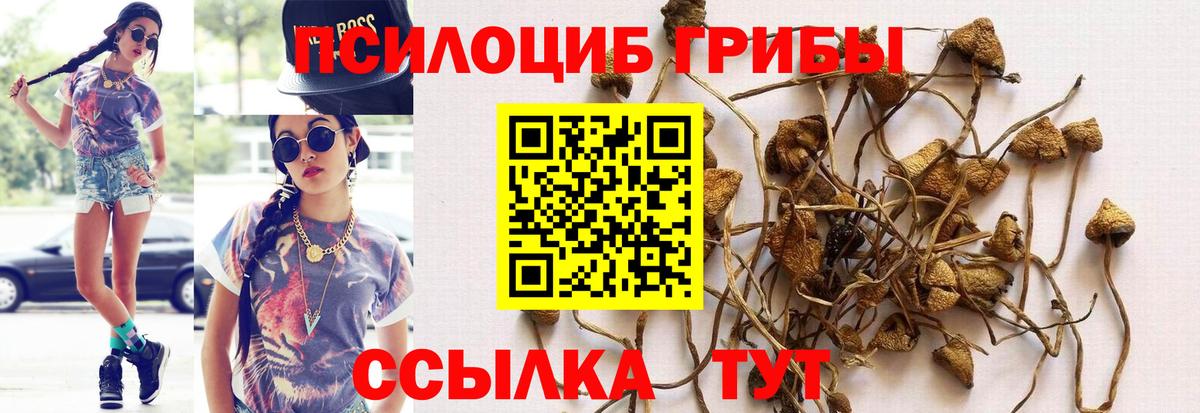 Псилоцибиновые грибы Magic Shrooms Архангельск